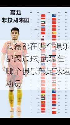 武磊都在哪个俱乐部踢过球,武磊在哪个俱乐部足球运动员